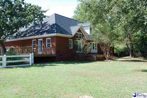 323 Alligator Rd, Effingham, SC 29541 photo 42