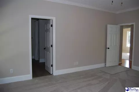 323 Alligator Rd, Effingham, SC 29541 photo 25