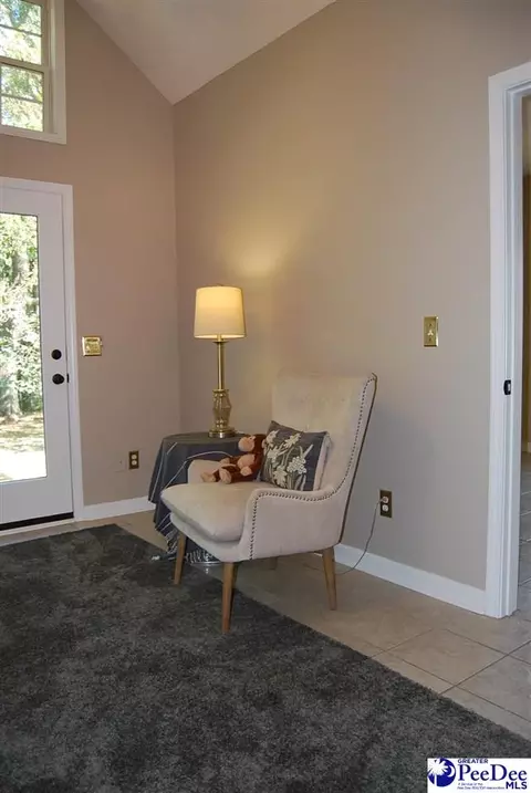 323 Alligator Rd, Effingham, SC 29541 photo 36