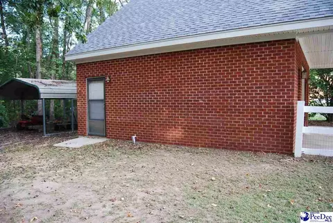 323 Alligator Rd, Effingham, SC 29541 photo 48