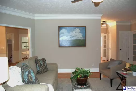 323 Alligator Rd, Effingham, SC 29541 photo 11