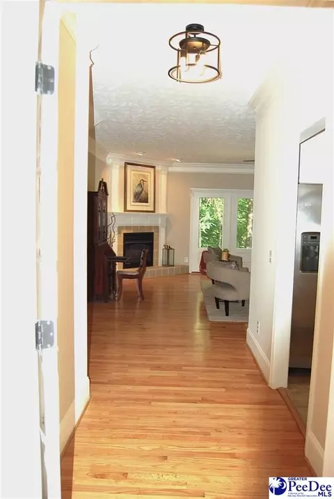 323 Alligator Rd, Effingham, SC 29541 photo 8