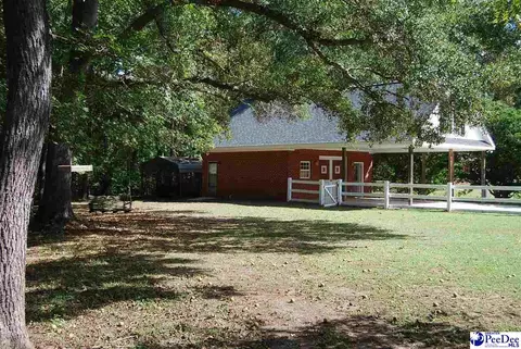 323 Alligator Rd, Effingham, SC 29541 photo 44