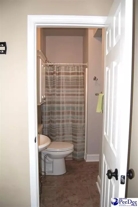 323 Alligator Rd, Effingham, SC 29541 photo 40