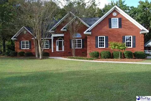 323 Alligator Rd, Effingham, SC 29541 photo 59