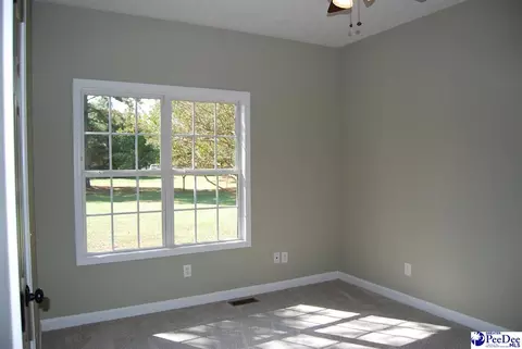 323 Alligator Rd, Effingham, SC 29541 photo 33