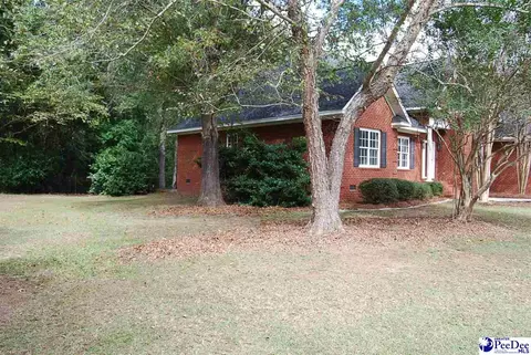 323 Alligator Rd, Effingham, SC 29541 photo 60