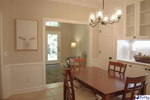323 Alligator Rd, Effingham, SC 29541 photo 19