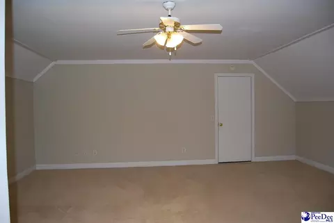323 Alligator Rd, Effingham, SC 29541 photo 32