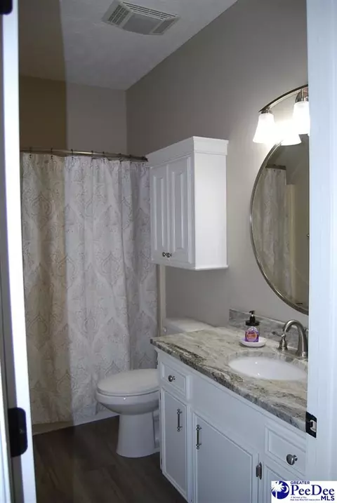 323 Alligator Rd, Effingham, SC 29541 photo 67