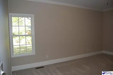 323 Alligator Rd, Effingham, SC 29541 photo 23