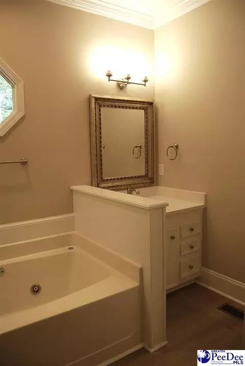 323 Alligator Rd, Effingham, SC 29541 photo 27