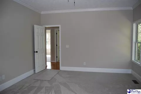 323 Alligator Rd, Effingham, SC 29541 photo 24