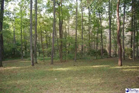 323 Alligator Rd, Effingham, SC 29541 photo 56