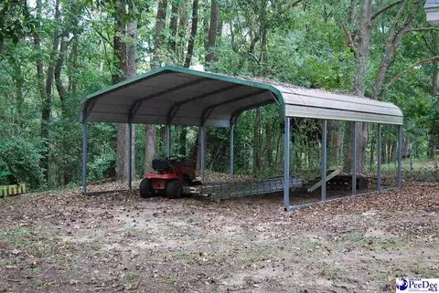 323 Alligator Rd, Effingham, SC 29541 photo 54
