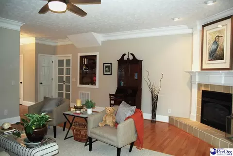 323 Alligator Rd, Effingham, SC 29541 photo 12