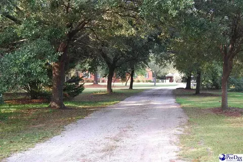 323 Alligator Rd, Effingham, SC 29541 photo 63