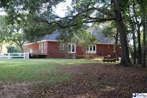323 Alligator Rd, Effingham, SC 29541 photo 58