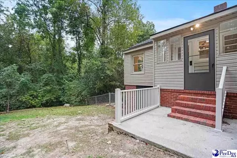 155 Ivy Ave, Chesterfield, SC 29709 photo 28