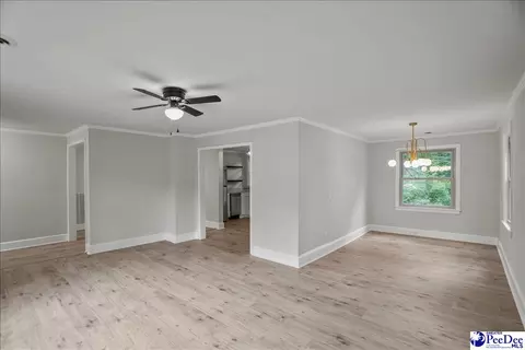 155 Ivy Ave, Chesterfield, SC 29709 photo 6
