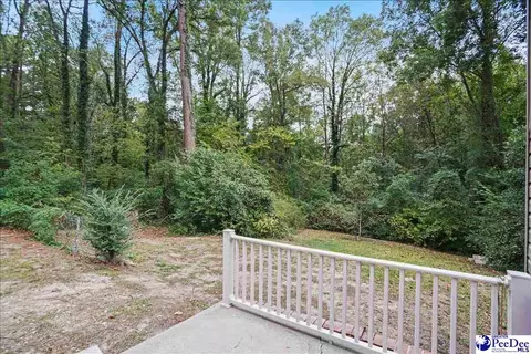 155 Ivy Ave, Chesterfield, SC 29709 photo 29