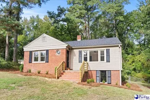 155 Ivy Ave, Chesterfield, SC 29709 photo 1
