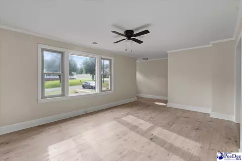 155 Ivy Ave, Chesterfield, SC 29709 photo 5
