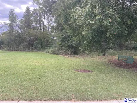 Main Street, Sellers, SC 29592