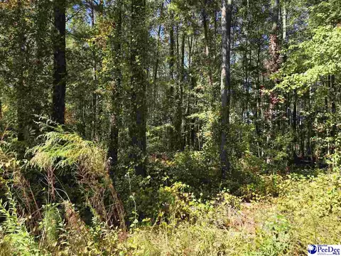 0000 Highway 265, Ruby, SC 29741
