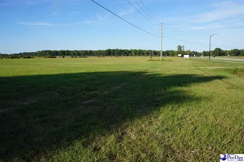 1042 Sumter Hwy, Bishopville, SC 29010