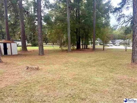 100 Sims St, Latta, SC 29565 photo 11
