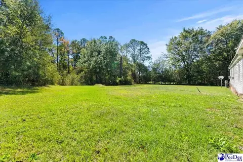 3016 Ridgecrest Rd, Wallace, SC 29596 photo 32
