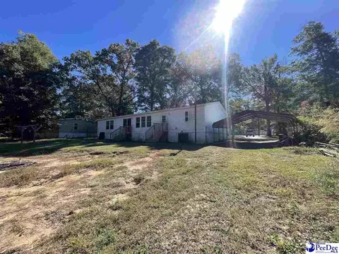 2741 Laurel Cirlce, Florence, SC 29506 photo 30