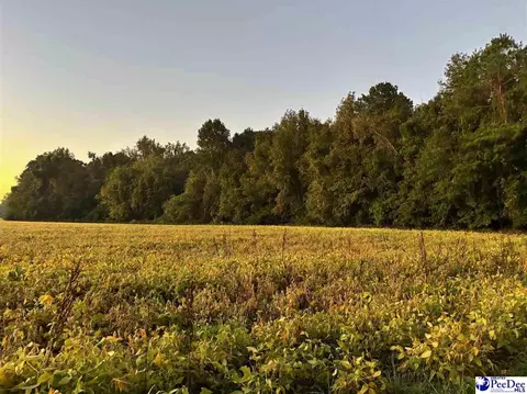 2016 Timmons Rd #LOT 11, Effingham, SC 29561