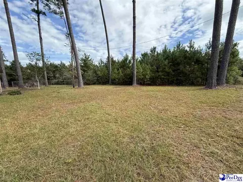 17 Ard Cir, Hemingway, SC 29554 photo 9