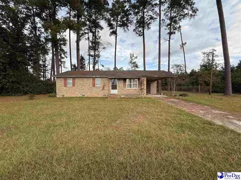 17 Ard Cir, Hemingway, SC 29554 photo 1