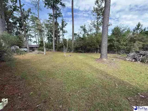 17 Ard Cir, Hemingway, SC 29554 photo 5