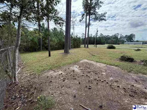 17 Ard Cir, Hemingway, SC 29554 photo 7