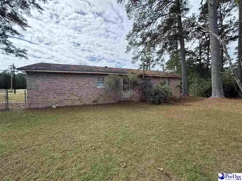 17 Ard Cir, Hemingway, SC 29554 photo 2