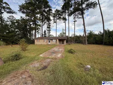 17 Ard Cir, Hemingway, SC 29554 photo 4