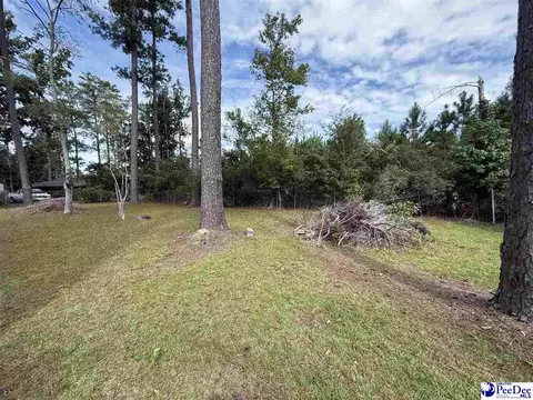 17 Ard Cir, Hemingway, SC 29554 photo 6