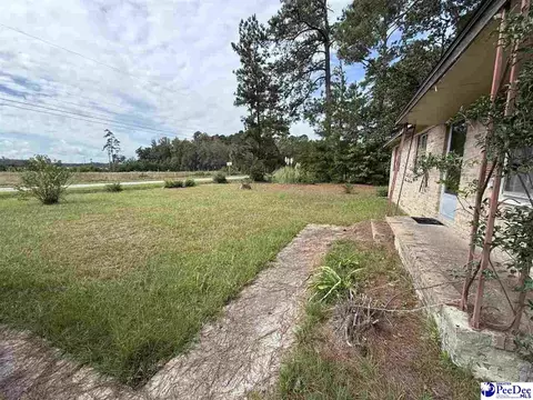 17 Ard Cir, Hemingway, SC 29554 photo 8
