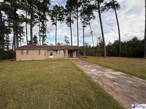 17 Ard Cir, Hemingway, SC 29554 photo 3