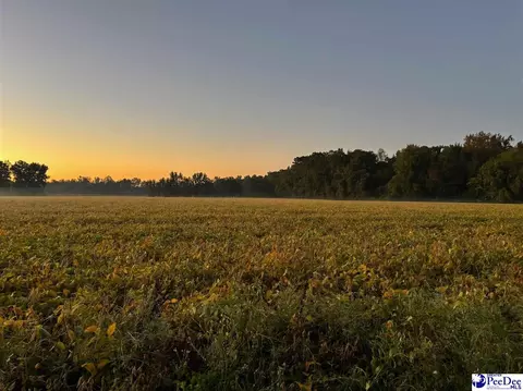 tbd Timmons Rd #LOT 8, Effingham, SC 29561