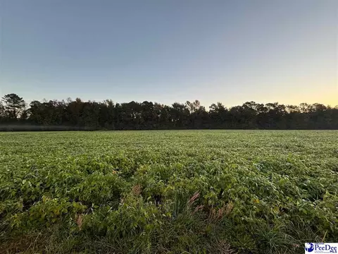 tbd Timmons Rd #LOT 6, Effingham, SC 29561