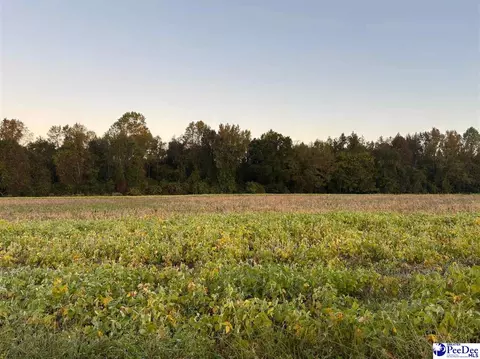 tbd Timmons Rd #LOT 5, Effingham, SC 29561