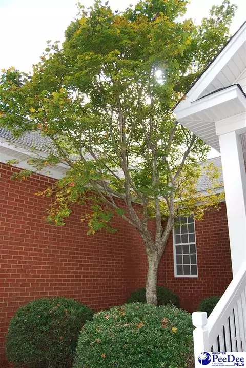 2832 Founder Dr, Florence, SC 29501 photo 52