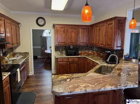 4057 W Old Wire Rd, Wallace, SC 29596 photo 9