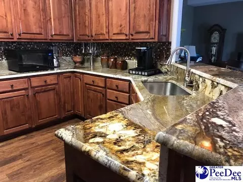 4057 W Old Wire Rd, Wallace, SC 29596 photo 10