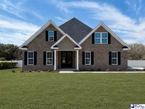 922 Third Loop Rd, Florence, SC 29505 photo 1